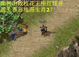 如何击败枝花王座红怪并通关邪恶地图生肖2? 如何击败枝花王座红怪并通关邪恶地图生肖2?