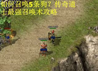 如何召唤5条狗?传奇道士最强召唤术攻略 如何召唤5条狗?传奇道士最强召唤术攻略