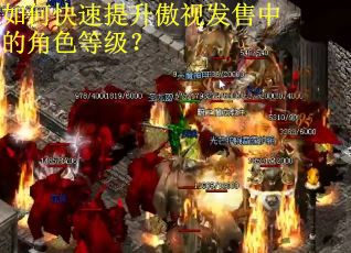 如何快速提升傲视发售中的角色等级？