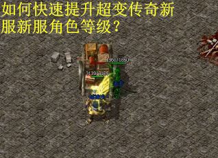 如何快速提升超变传奇新服新服角色等级？