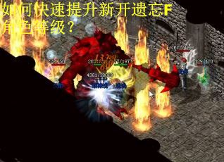 如何快速提升新开遗忘F角色等级？