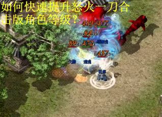 如何快速提升怒火一刀合击版角色等级？