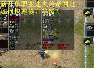 新开单职业迷失传奇网址如何快速提升等级？