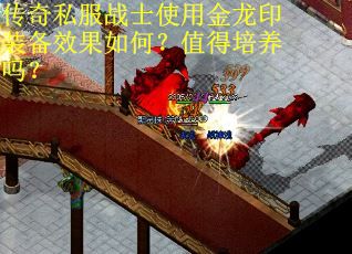传奇私服战士使用金龙印装备效果如何？值得培养吗？