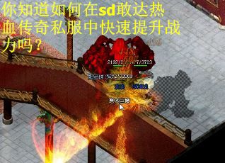 你知道如何在sd敢达热血传奇私服中快速提升战力吗？